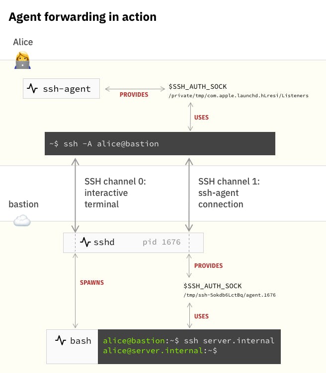 agent-forwarding-in-action.png