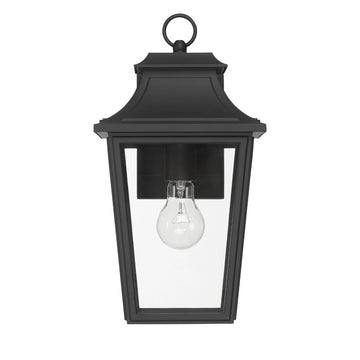 Spring Cove Outdoor 1 Light Medium 15 Inch Wall Light Lighting Hunter Matte Black - Clear 